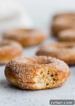vegan pumpkin spice donuts