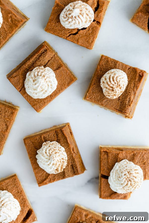 Autumn Spiced Pumpkin Bars with Almond Cookie Crust Vegan and Paleo 3 Close-up of a pumpkin pie bar with almond cookie crust, showing the creamy filling and golden crust.