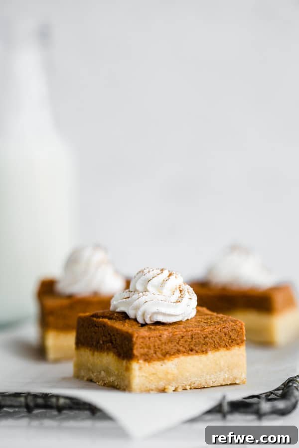 Autumn Spiced Pumpkin Bars with Almond Cookie Crust Vegan and Paleo 6 Two pumpkin pie bars on a white plate, garnished with cinnamon.