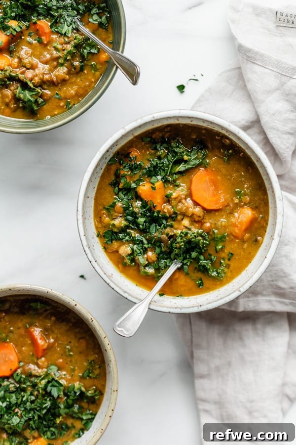 Effortless Vegan Lentil Soup: Slow Cooker Weeknight Comfort 5 Three individual bowls of rich lentil soup, each with a spoon, ready to be enjoyed.