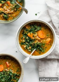 Slow Cooker Vegan Lentil Soup