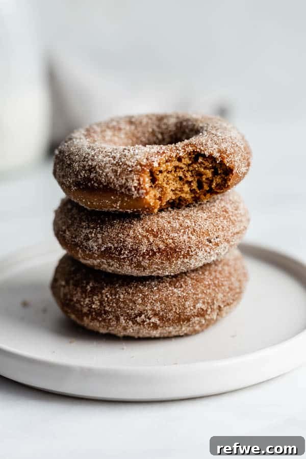 Gingerbread Sugar-Dusted Vegan Donuts 2 Delicious baked vegan gingerbread donuts topped with gingerbread sugar