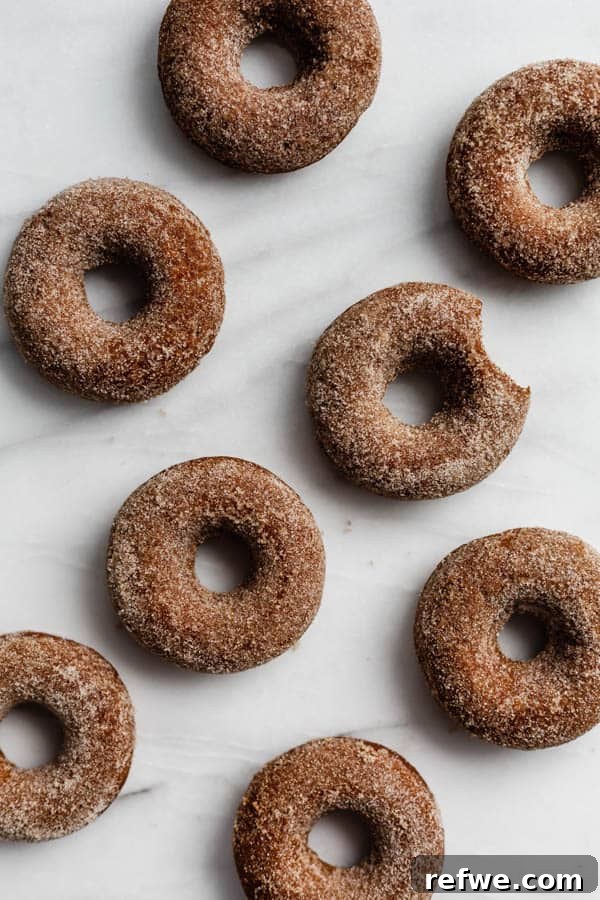 Gingerbread Sugar-Dusted Vegan Donuts 3 Close-up of fluffy vegan gingerbread donuts with sugar coating