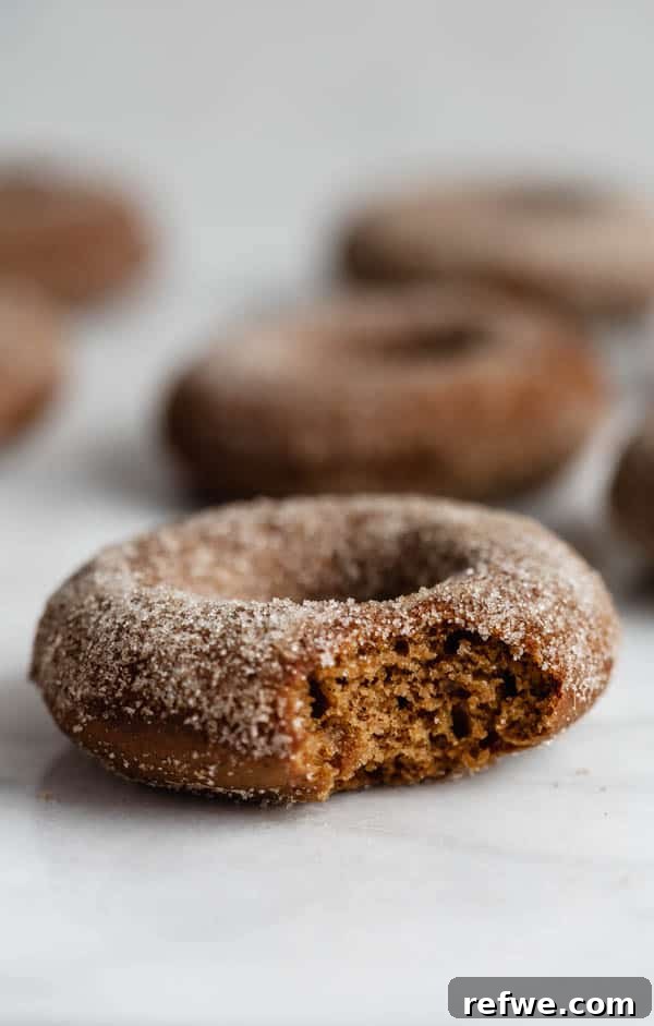 Gingerbread Sugar-Dusted Vegan Donuts 4 Mixing dry ingredients for vegan gingerbread donuts