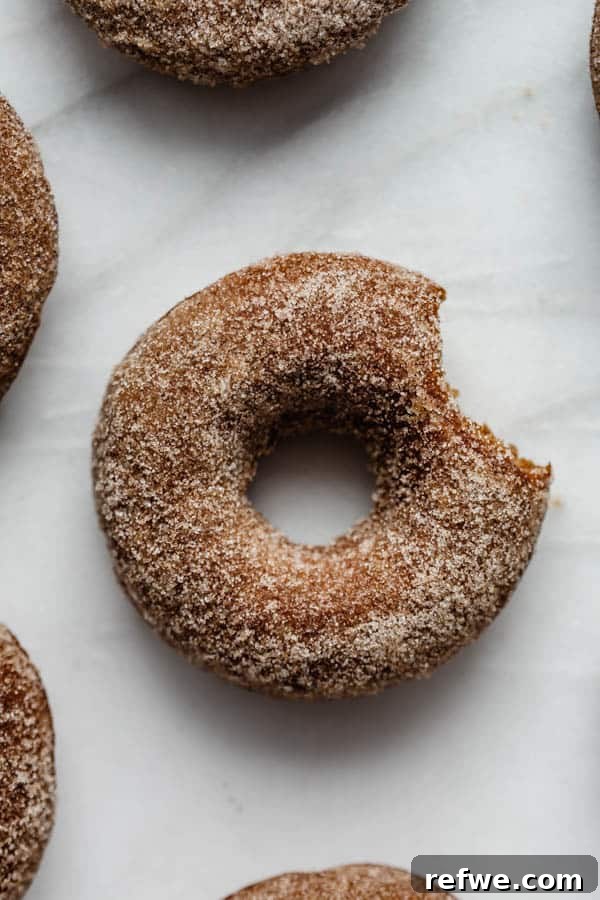 Gingerbread Sugar-Dusted Vegan Donuts 6 Stack of vegan gingerbread donuts ready to be enjoyed