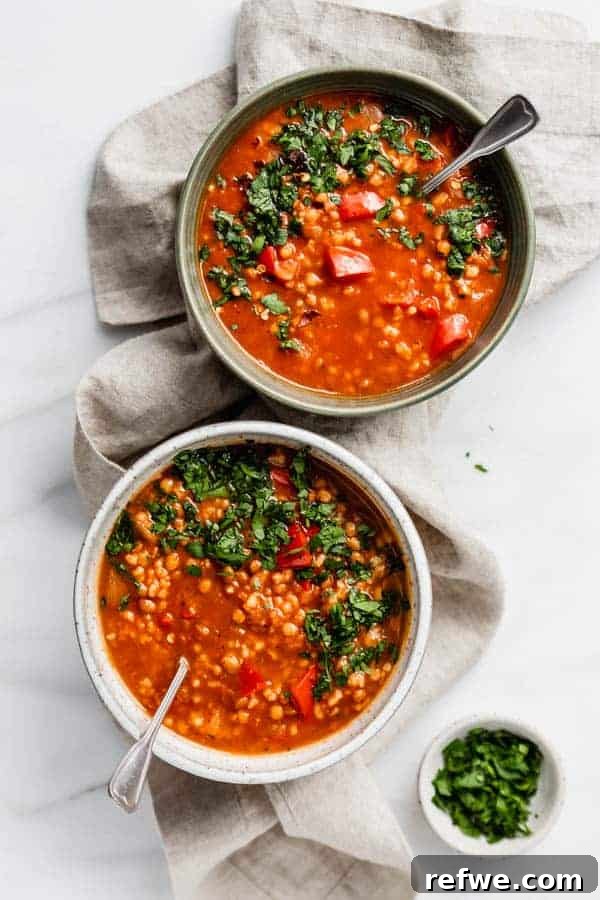 Wholesome Vegan Stuffed Pepper Stew 2 A rich bowl of vegan stuffed pepper soup, garnished with fresh parsley.