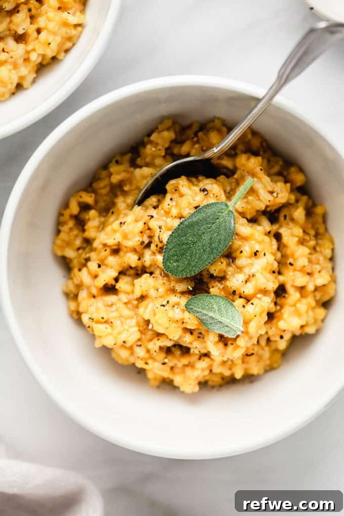 A single white bowl of creamy roasted butternut squash risotto, garnished beautifully with fresh sage leaves and a sprinkle of Parmesan.