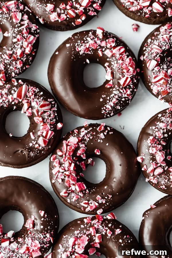 Peppermint Mocha Vegan Dream Rings 5 A delightful collection of vegan peppermint mocha donuts, showcasing their rich color and festive candy cane topping.