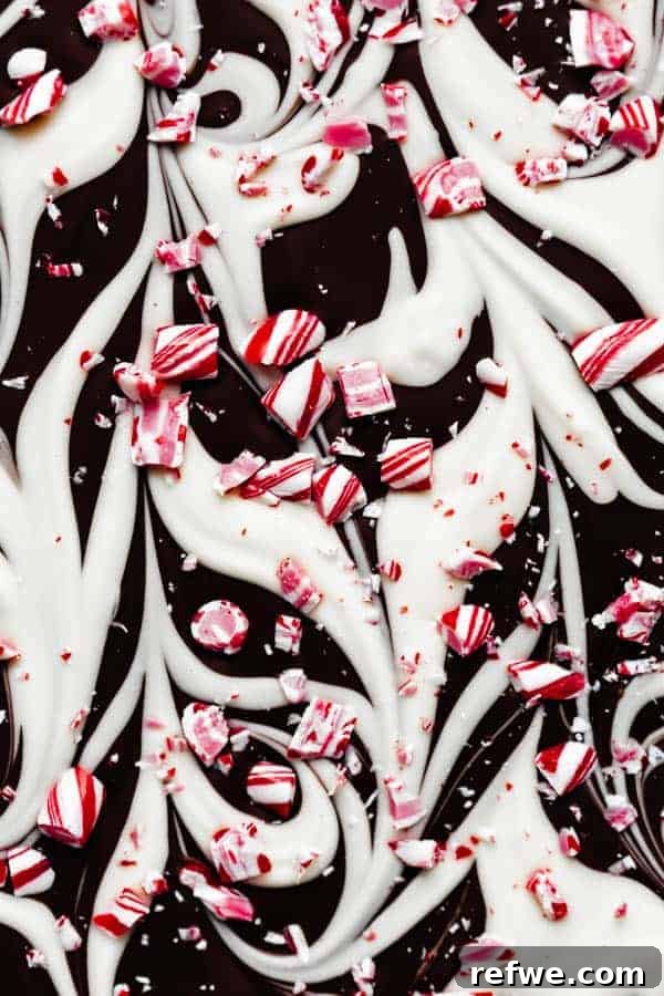 Wintermint Swirl Bark 10 Close-up of a large piece of perfectly set marbled peppermint bark, showing distinct chocolate layers and candy cane crunch.