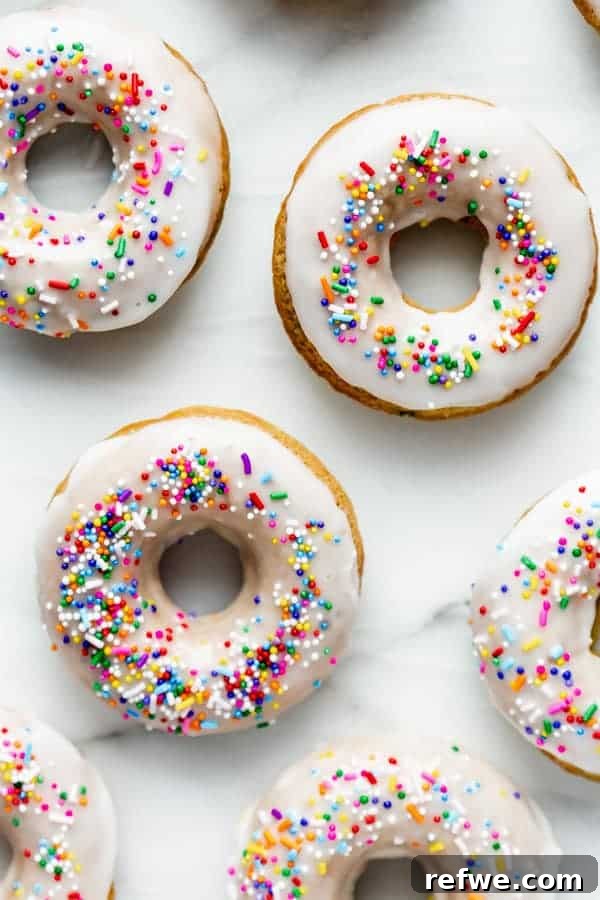 Vegan Cake Batter Bliss Donuts 2 Delicious baked vegan cake batter donuts topped with sprinkles and vanilla icing