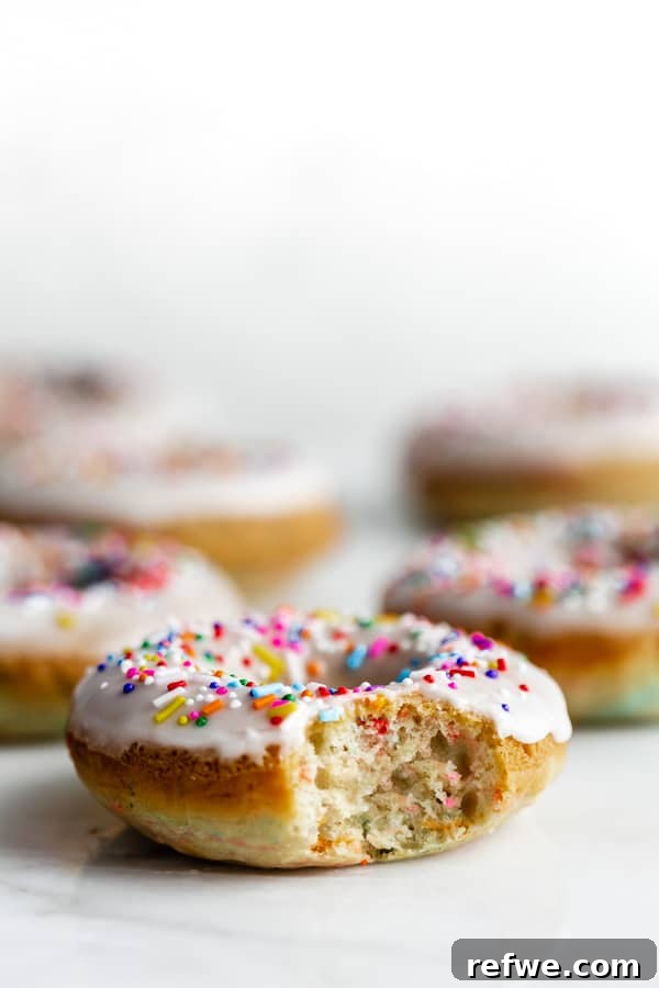 Vegan Cake Batter Bliss Donuts 6 Overhead shot of two vegan cake batter donuts on a plate, showing texture and sprinkles