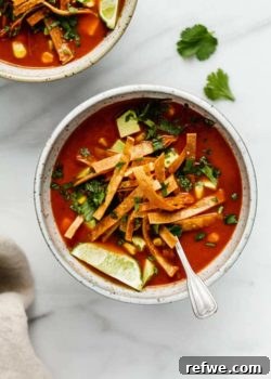 A delicious bowl of vegan tortilla soup, garnished with vibrant toppings.