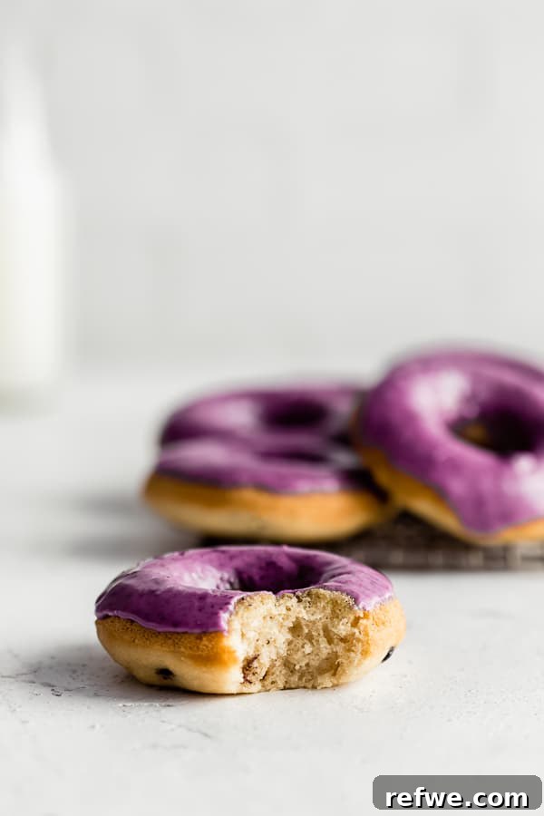 Blueberry Bliss Vegan Donuts 4 Several perfectly formed vegan blueberry donuts, fresh from the oven, showcasing their golden-brown hue before glazing.
