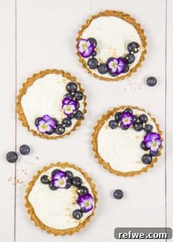 Delicious Blueberry Granola Tarts, ready to serve