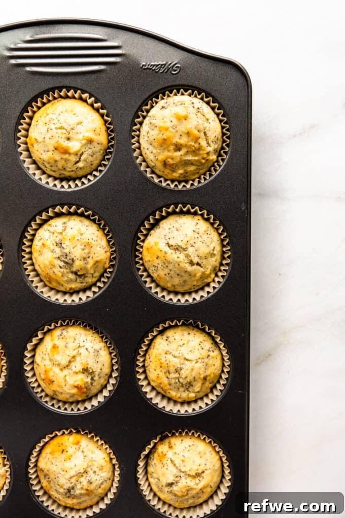 Wholesome Lemon Poppy Seed Delights 10 Freshly baked golden-brown lemon poppy seed muffins in a muffin pan.