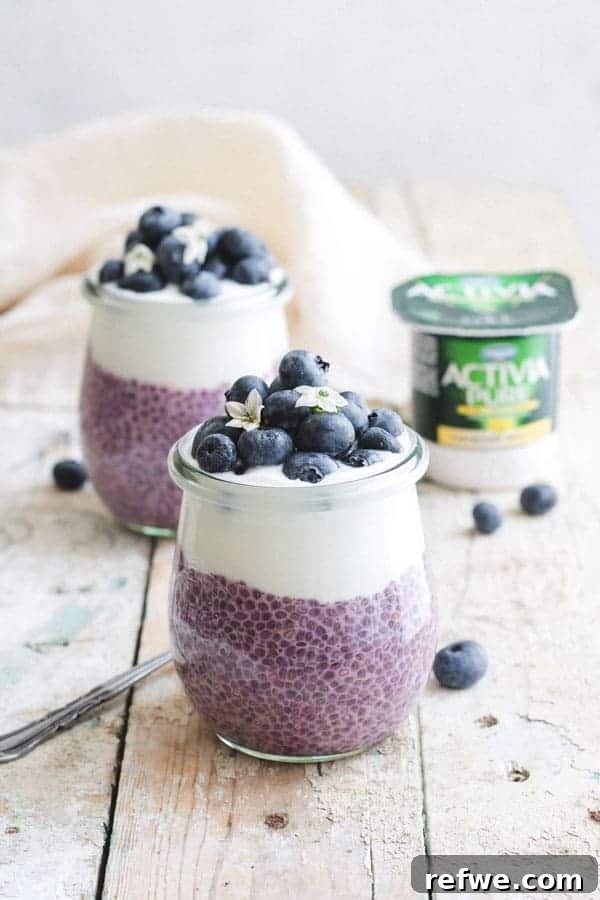 14-Day Activia Challenge: My Experience and Results 2 my reflection on the 14 day activia challenge