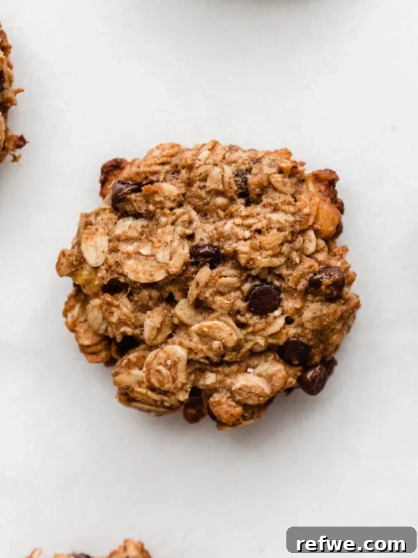 A chocolate chip oatmeal banana cookie
