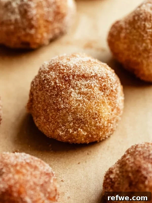 Baked Cottage Cheese Donut Holes Recipe 13 A close-up of golden donut holes coated in cinnamon sugar on parchment paper.