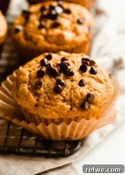 Close-up of a cottage cheese pumpkin chocolate chip muffin in a paper liner on a wire cooling rack.