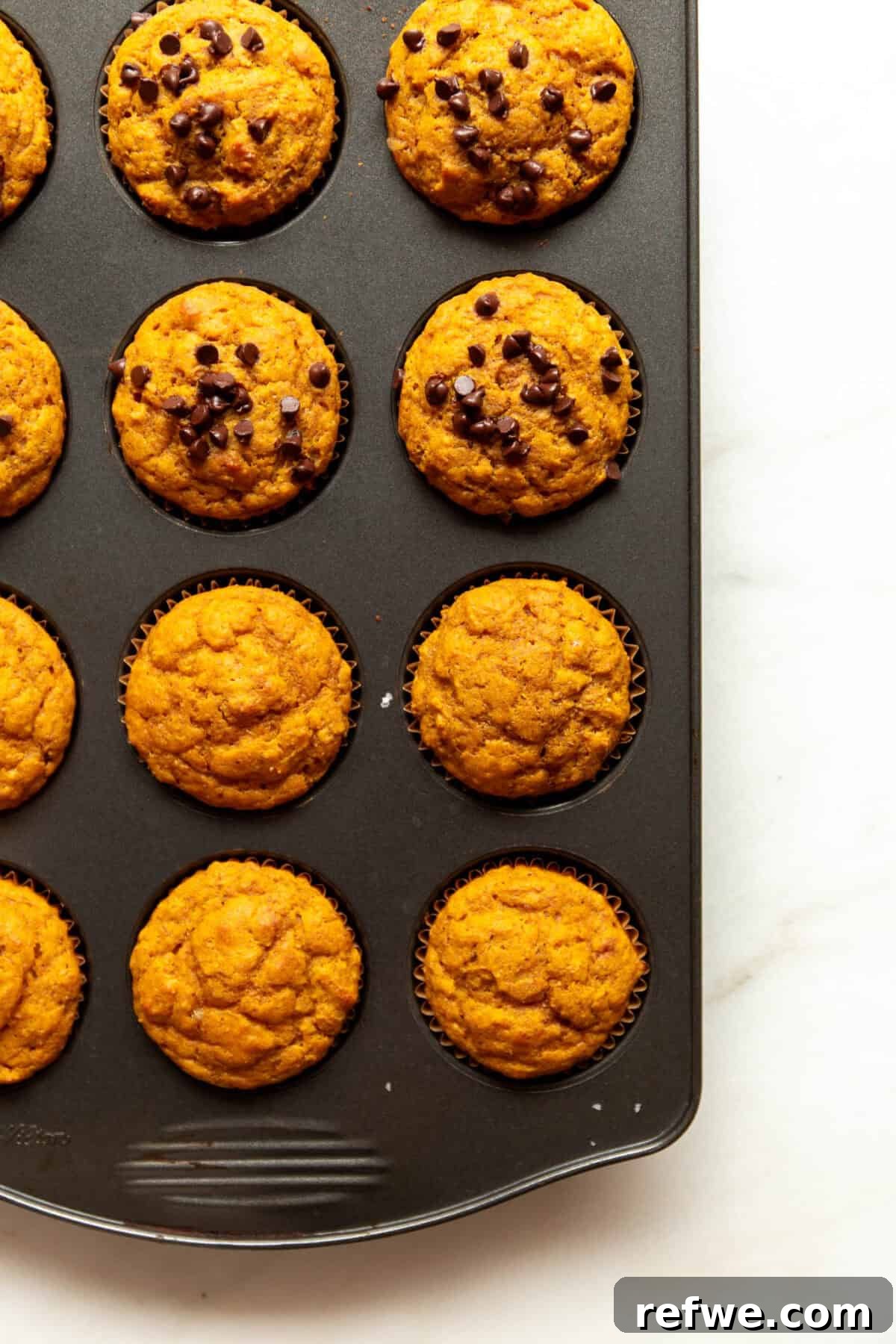 Moist Pumpkin Muffins with Cottage Cheese 9 Baked cottage cheese pumpkin chocolate chip muffins in a muffin tin, golden brown.