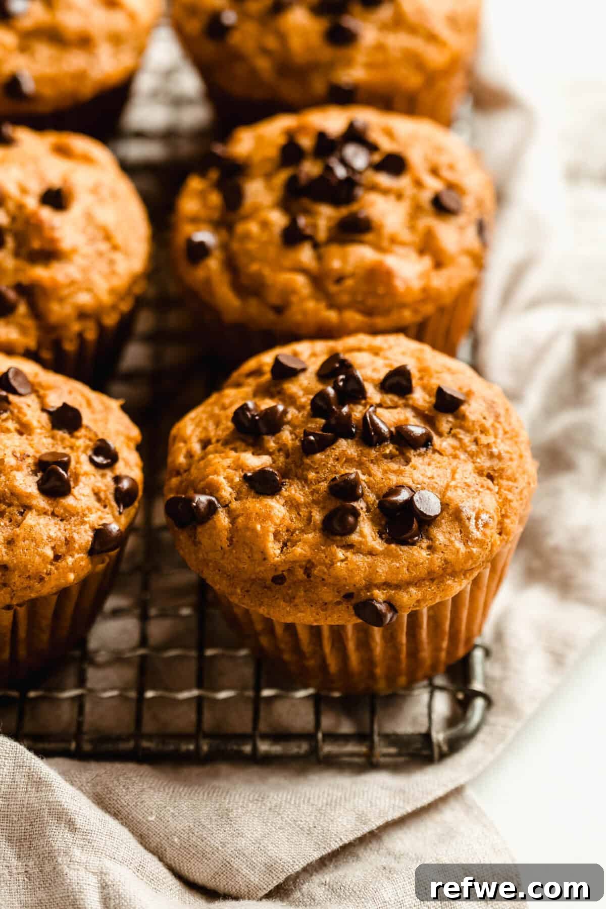 Moist Pumpkin Muffins with Cottage Cheese 10 Close-up of cottage cheese pumpkin chocolate chip muffins cooling on a wire rack.